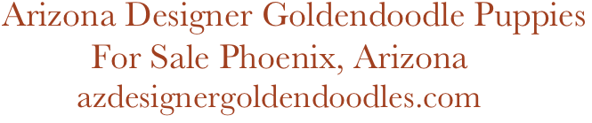   Arizona Designer Goldendoodle Puppies
            For Sale Phoenix, Arizona                      
           azdesignergoldendoodles.com
            
                